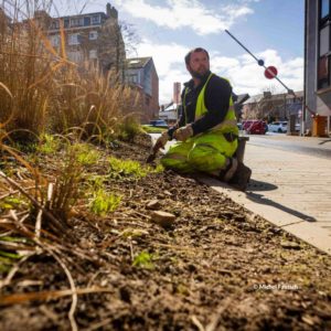 2023-04_visuel_projet_biodiversite_et_sante