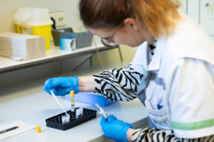 Traitement et conservation-Etude clinique